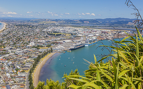 Tauranga New Zealand Cruise POC 2022